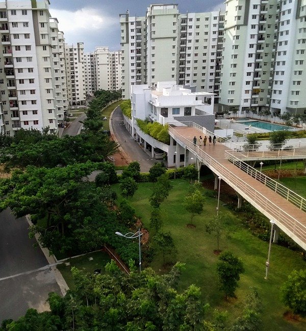 Bird View Provident Sunworth