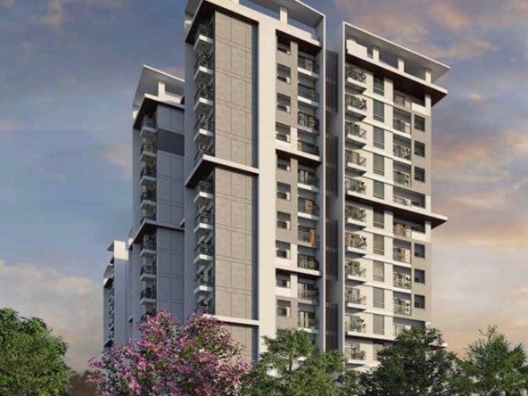 TG Legacy Elevation